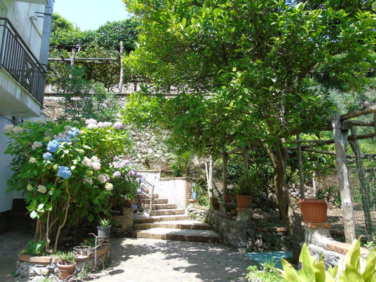 Antica Cartiera Sant'Elia Apartment Трамонти Екстериор снимка